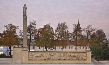 Hotely povoľujúce pobyt s domácimi zvieratami v Prievidzi