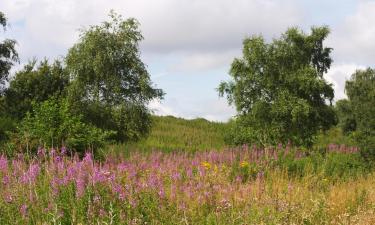 Lággjaldahótel í Dagenham