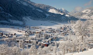 Ski Resorts in Niederau