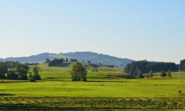 Cottages in Bichel