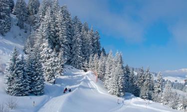 Estâncias de Esqui em Oberterzen