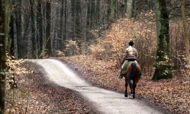 Hotels with Parking in Hareskovby