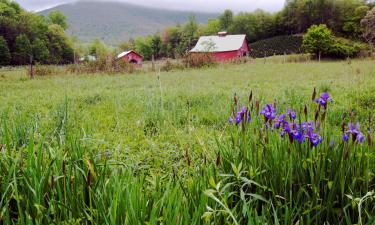 Holiday Homes in Ruckersville