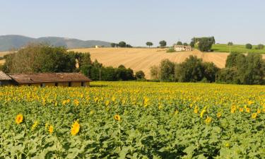 Hotels amb aparcament a Pierantonio