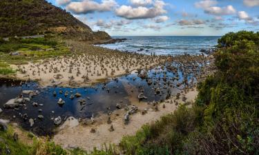 Beach rentals in Wongarra