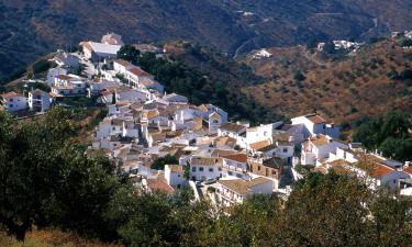 Apartments in Tolatán