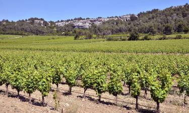 Ferienwohnungen in Salles-dʼAude