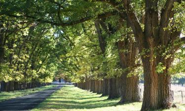 Ingle Farm şehrindeki otoparklar