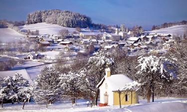 Hoteluri cu parcare în Elisabethszell