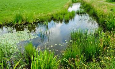 Mājdzīvniekiem draudzīgas viesnīcas pilsētā Lone