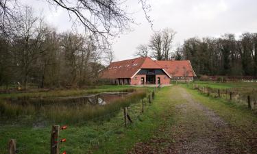 Cottages in Balkbrug