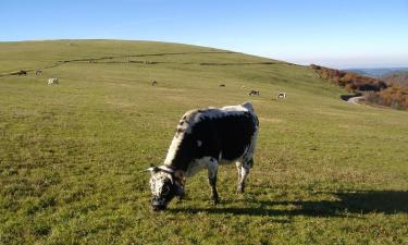 Chalés alpinos em Saulxures-sur-Moselotte