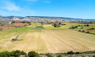 Hoteles en Casas de los Pinos