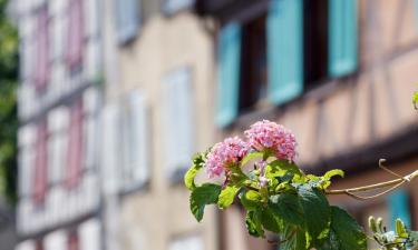 Hotel con parcheggio a Vogelgrun