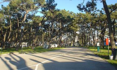 Holiday Rentals in Gafanha da Nazaré