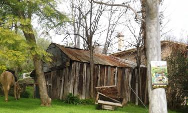 Hoteles en Wollombi