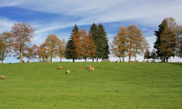 Ferienwohnungen in Dötlingen