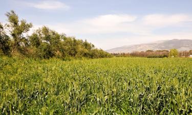 Cabane în Bet Hillel