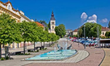 Hoteles en Daruvar