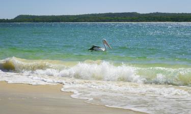 Case de vacanță în Pelican Waters