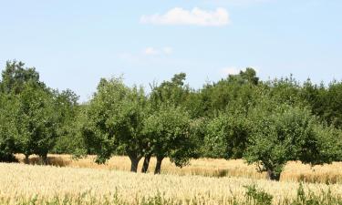 Διαμερίσματα σε Jettingen-Scheppach