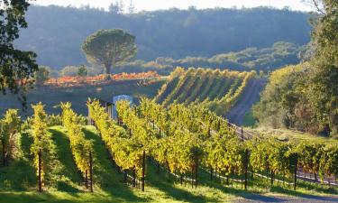 Hotels met Parkeren in Yountville