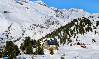 Hoteles en Riederalp