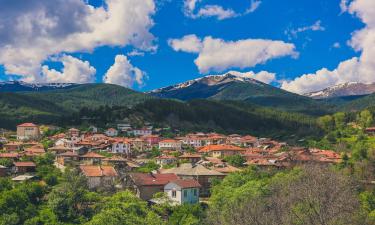 Hoteles familiares en Dobărsko