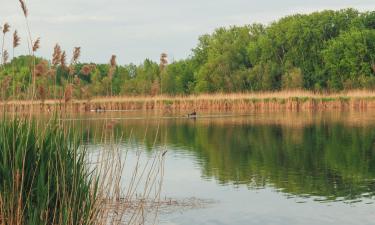 Parkolóval rendelkező hotelek Domboriban