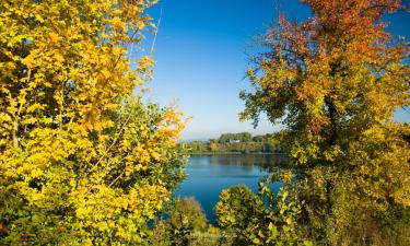 Vacation Homes in Vienenburg