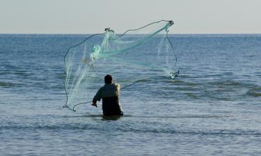 Cheap holidays in Fano