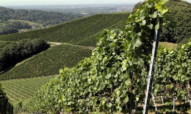 Hôtels pas chers à Sasbach in der Ortenau