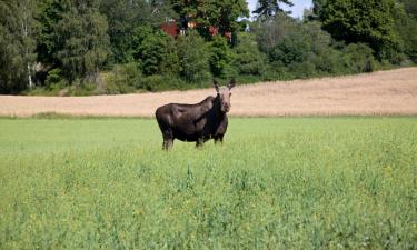 Hôtels pour les familles à Knivsta