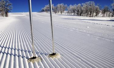 Vemdalen şehrindeki oteller