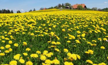 Family Hotels in Langnau