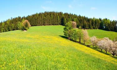 Hotéis em Mürzzuschlag