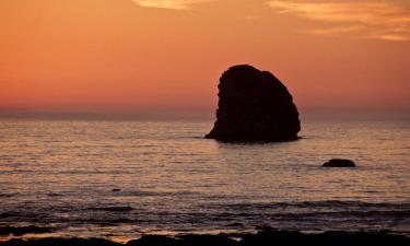 Hoteller i Ocean Shores