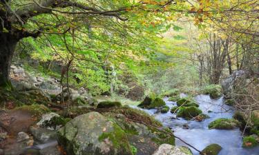 Hoteles en Montaigut-sur-Save