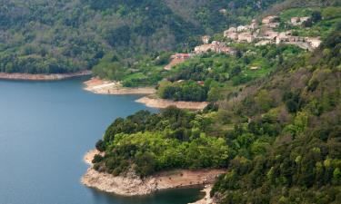 Alquileres vacacionales en Tolla