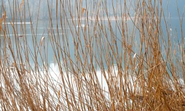 Hoteles en Wangen an der Aare