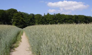 Lejligheder i Blommenslyst