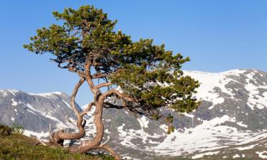 Ξενοδοχεία σε Alvdal