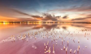 Alquileres temporarios en Las Salinas