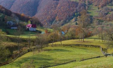 Vacation Rentals in Cîmpeni