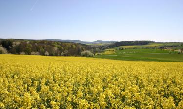 Hotéis em Gallspach