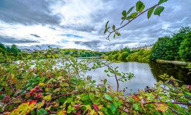 Beach rentals in Slaithwaite