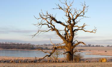 Alquileres vacacionales en Langeskov