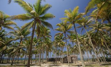 Cottages in Kampong Baharu