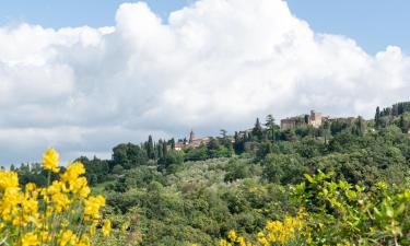 Ferienunterkünfte in Orciatico