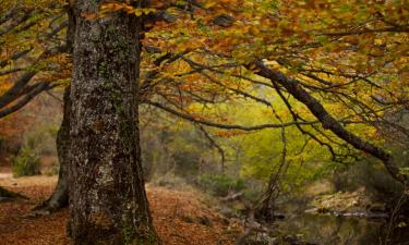 Aluguéis de Temporada em Oronoz-Mugaire